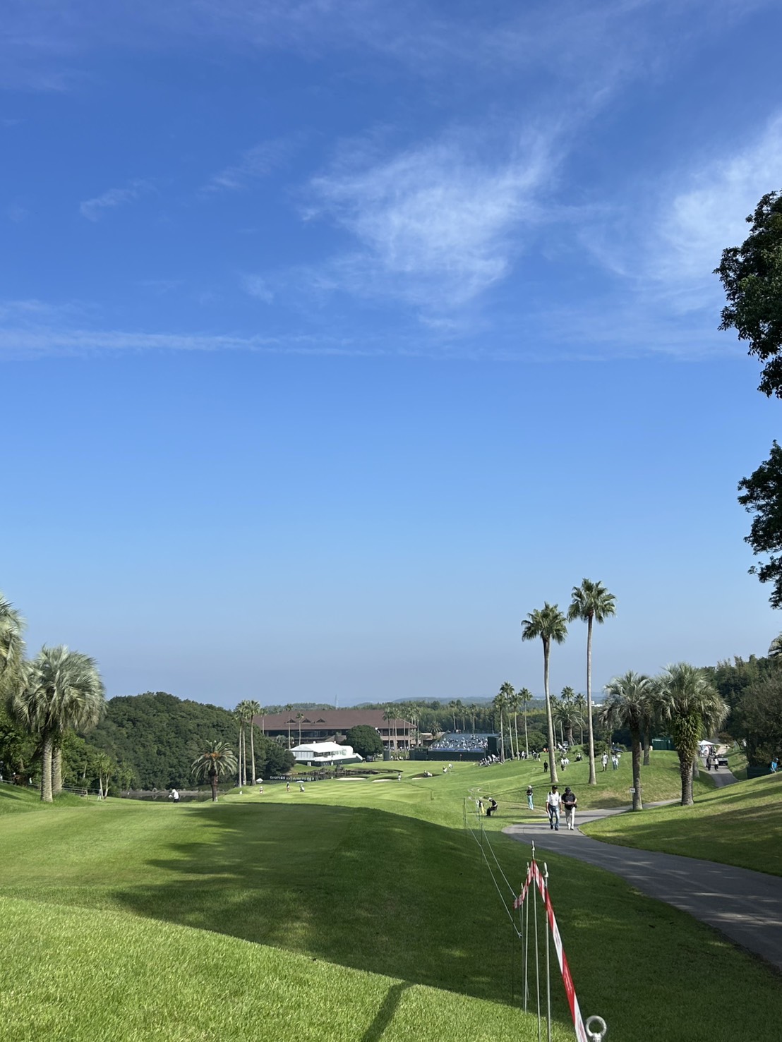 S__703873034_0.jpg